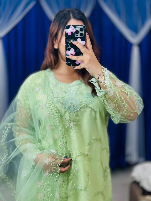 Pakistani Soft Net Sequence Three Piece - Image 3