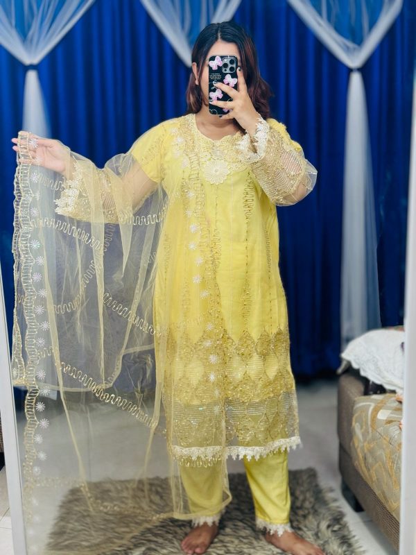 Pakistani Soft Net Sequence Three Piece - Image 4